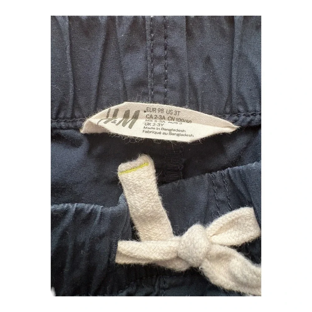 Boys Animal Graphic Shirt and 3T HM Navy Shorts 2 Piece‎ Set Blue Safari Zoo